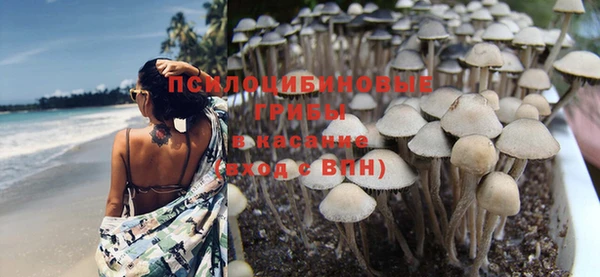 ешки Арсеньев