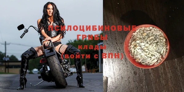 эйфоретик Армянск