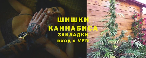 ешки Арсеньев