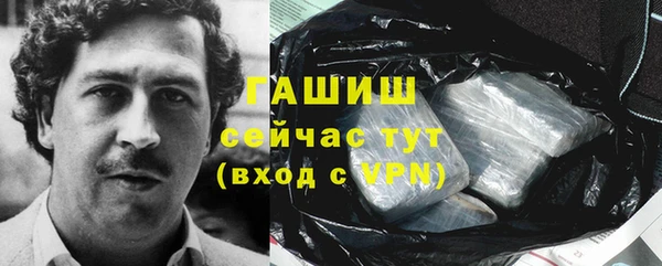метадон Алексин