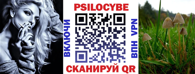 Псилоцибиновые грибы Psilocybe  Аша 